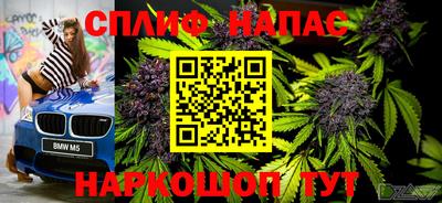 сатива Краснодар